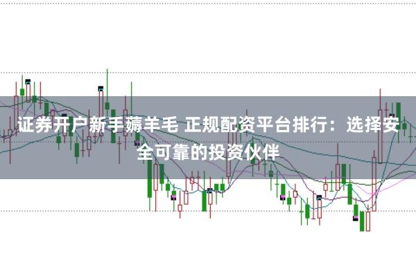 证券开户新手薅羊毛 正规配资平台排行：选择安全可靠的投资伙伴