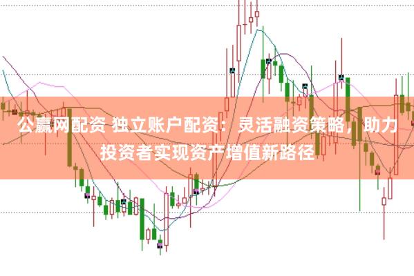 公赢网配资 独立账户配资：灵活融资策略，助力投资者实现资产增值新路径
