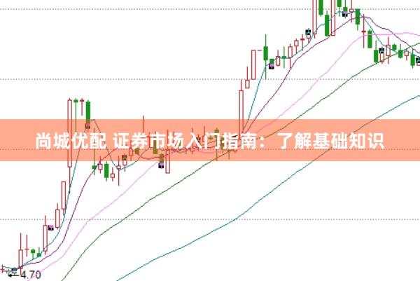 尚城优配 证券市场入门指南：了解基础知识