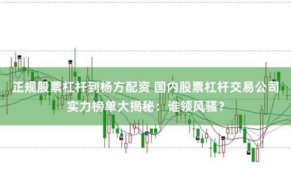 正规股票杠杆到杨方配资 国内股票杠杆交易公司实力榜单大揭秘：谁领风骚？