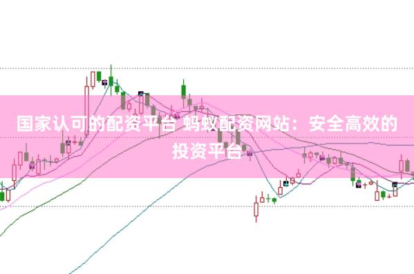 国家认可的配资平台 蚂蚁配资网站：安全高效的投资平台