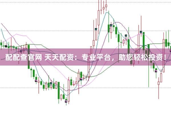 配配查官网 天天配资：专业平台，助您轻松投资！