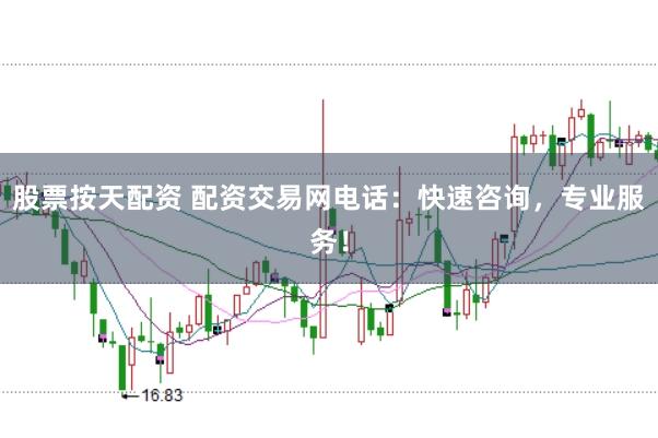 股票按天配资 配资交易网电话：快速咨询，专业服务！