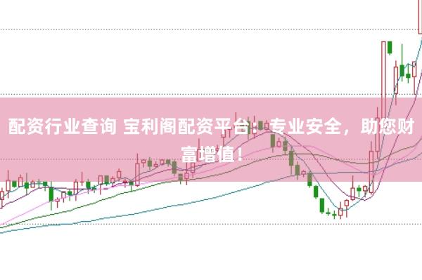 配资行业查询 宝利阁配资平台：专业安全，助您财富增值！
