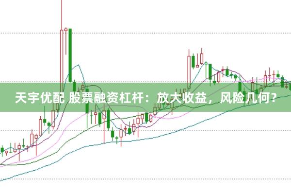 天宇优配 股票融资杠杆：放大收益，风险几何？