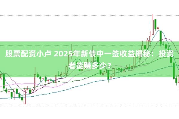 股票配资小卢 2025年新债中一签收益揭秘：投资者能赚多少？