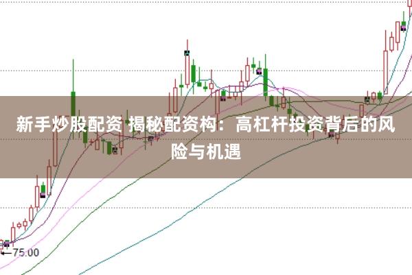 新手炒股配资 揭秘配资构：高杠杆投资背后的风险与机遇