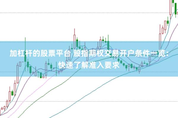 加杠杆的股票平台 股指期权交易开户条件一览：快速了解准入要求