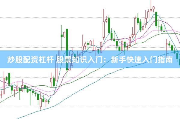 炒股配资杠杆 股票知识入门：新手快速入门指南