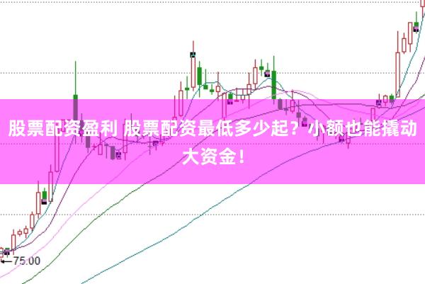 股票配资盈利 股票配资最低多少起？小额也能撬动大资金！