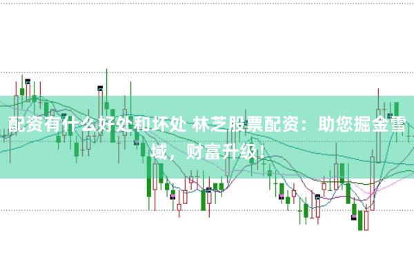 配资有什么好处和坏处 林芝股票配资：助您掘金雪域，财富升级！