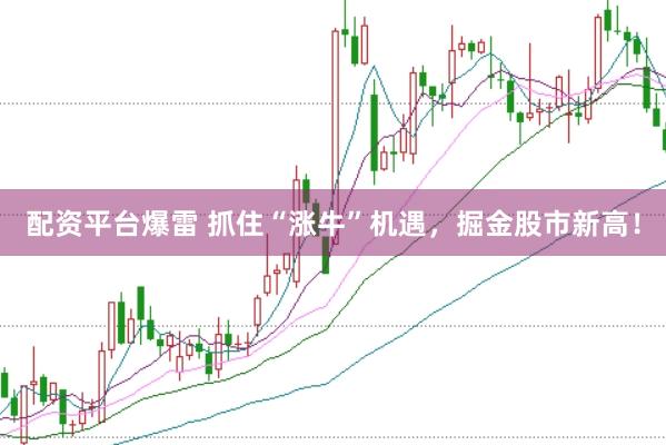 配资平台爆雷 抓住“涨牛”机遇，掘金股市新高！
