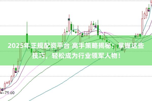 2025年正规配资平台 高手策略揭秘：掌握这些技巧，轻松成为行业领军人物！
