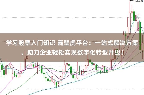 学习股票入门知识 赢壁虎平台：一站式解决方案，助力企业轻松实现数字化转型升级！