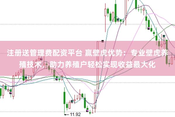 注册送管理费配资平台 赢壁虎优势：专业壁虎养殖技术，助力养殖户轻松实现收益最大化