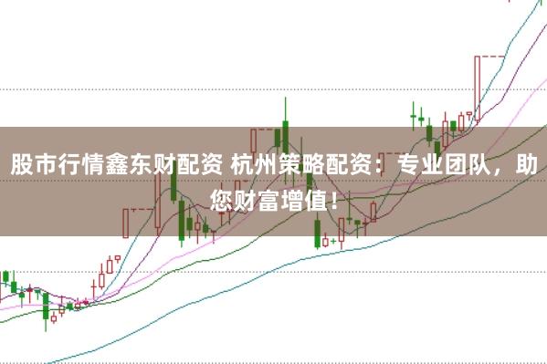 股市行情鑫东财配资 杭州策略配资：专业团队，助您财富增值！