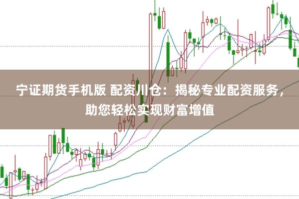 宁证期货手机版 配资川仓：揭秘专业配资服务，助您轻松实现财富增值
