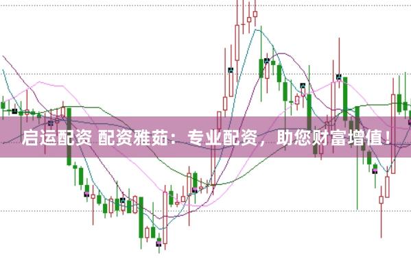 启运配资 配资雅茹：专业配资，助您财富增值！