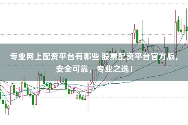专业网上配资平台有哪些 股票配资平台官方版，安全可靠，专业之选！