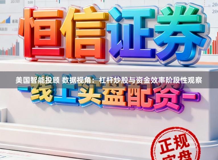 美国智能投顾 数据视角：杠杆炒股与资金效率阶段性观察