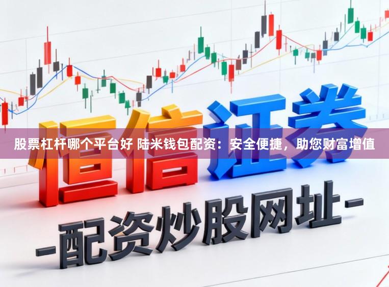 股票杠杆哪个平台好 陆米钱包配资：安全便捷，助您财富增值
